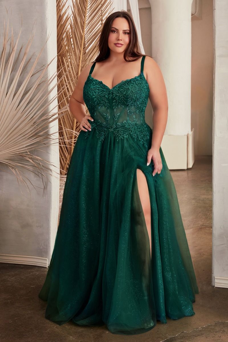 LACE A-LINE TULLE GOWN- C150 CURVE