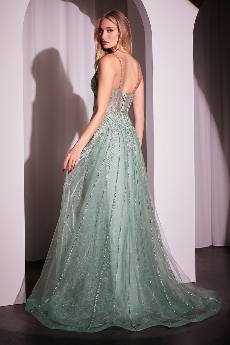 CRYSTAL EMBELLISHED A-LINE TULLE DRESS- CD786