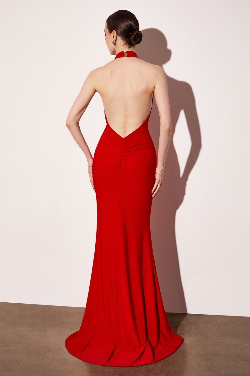 T501 - RED S