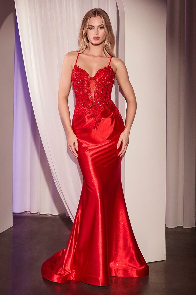 EMBELLISHED LACE & SATIN FITTED GOWN- CC2401