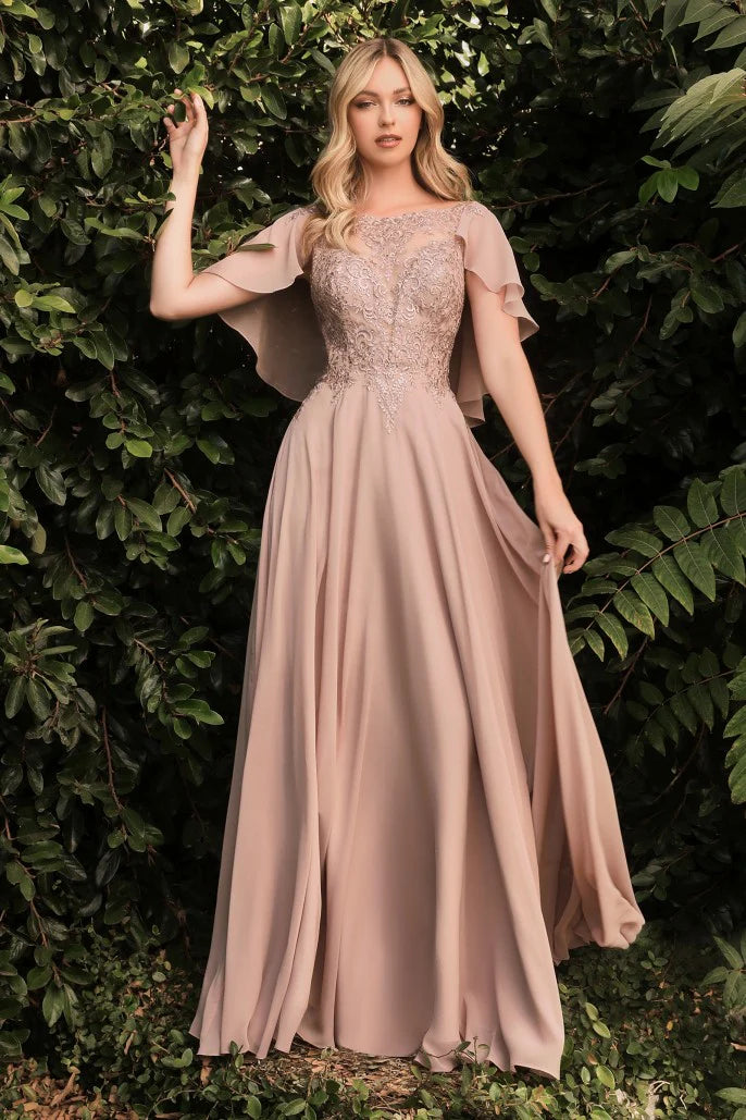 Chiffon Gown